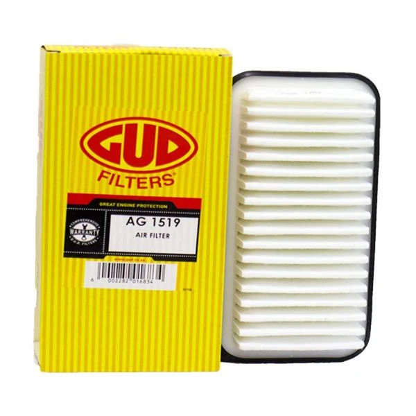 Filtro de Ar AG1519 GUD